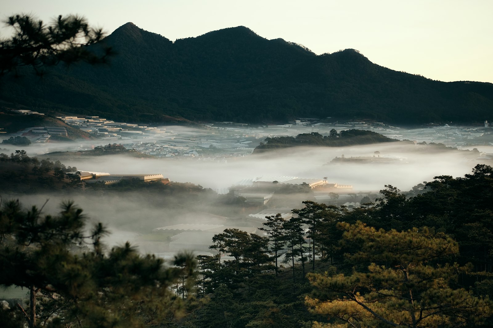 Da Lat